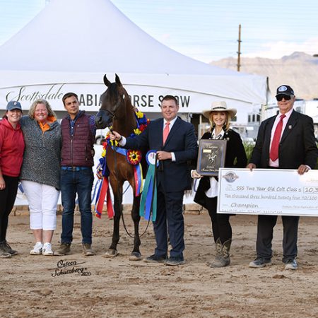 Viquator Aljassimya wins Two-Year-Old Colt Class in Scottsdale